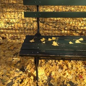 Meet your Posher, Morgan